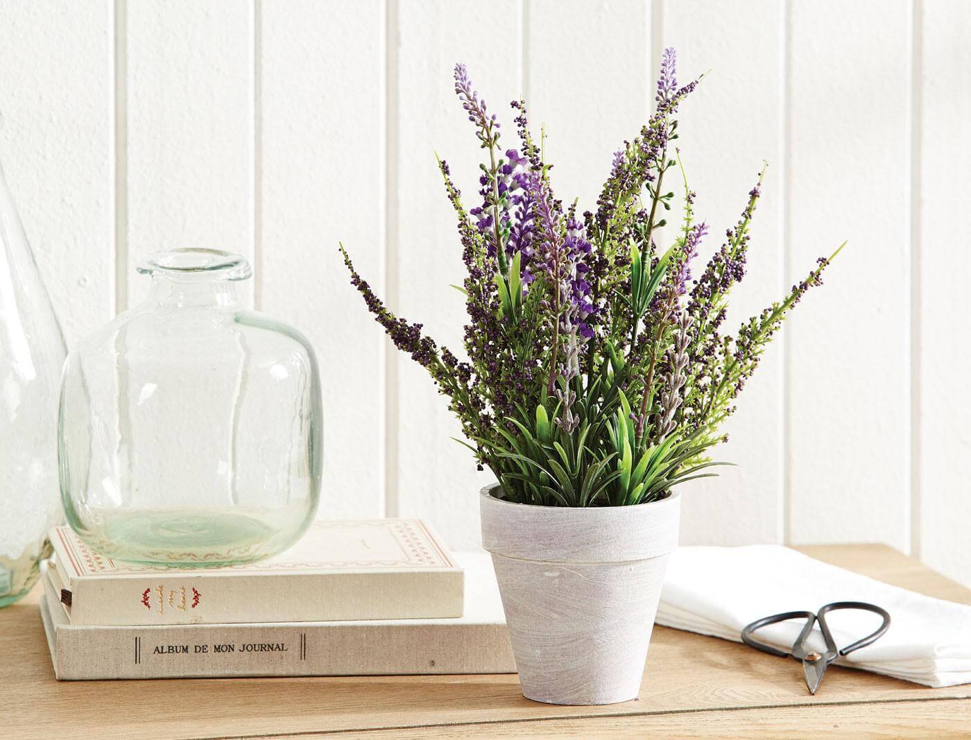 Buy Lavender In Pot Online Bed Bath N' Table