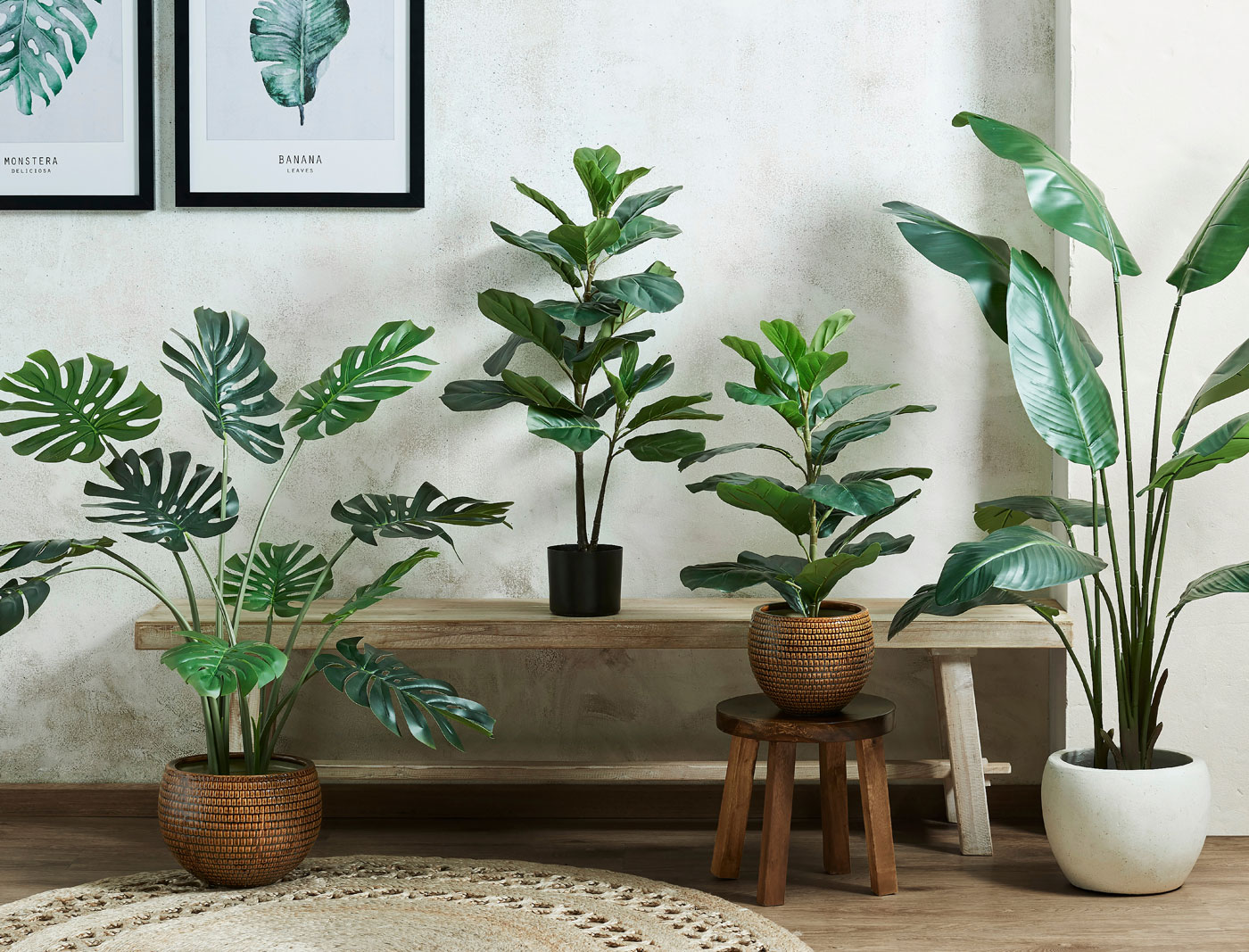 Buy Banana Leaf Potted Plant 160cm Online | Bed Bath N' Table