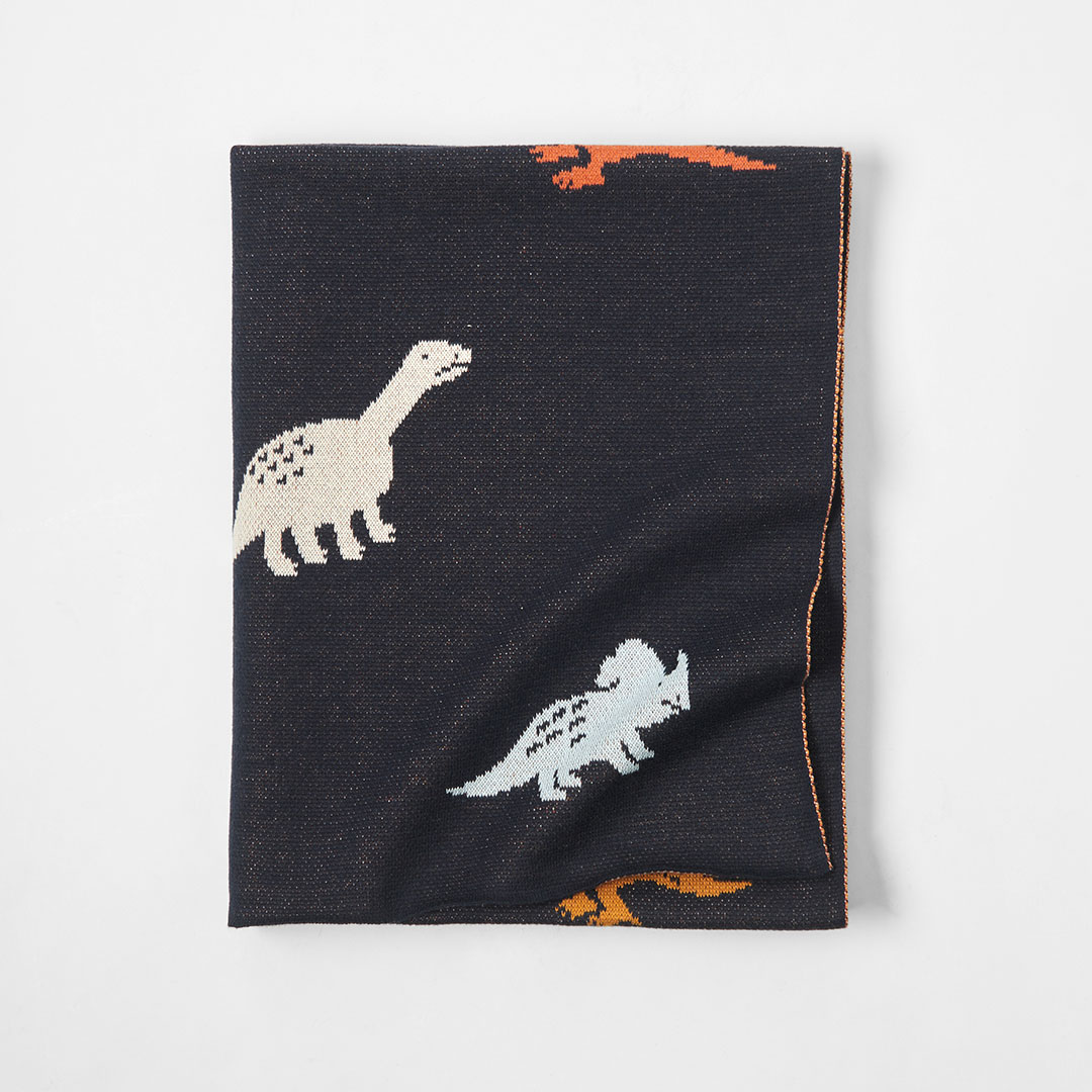 Buy Dinosaur Kids Throw Online Bed Bath N' Table