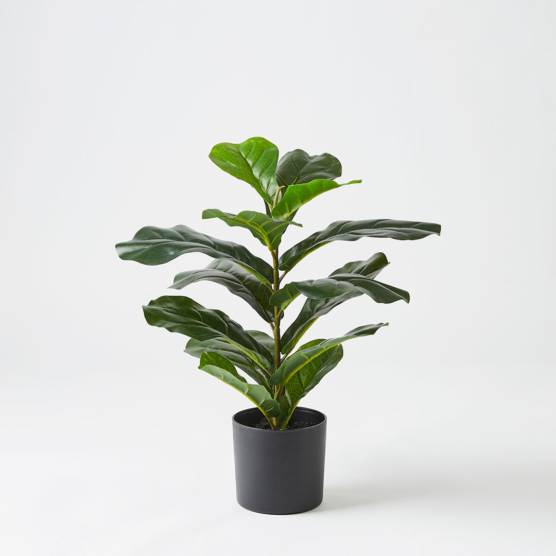 Buy Real Touch Fiddle Leaf Tree 50cm Online Bed Bath N' Table